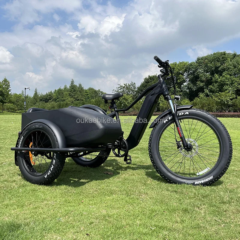 Classic outdoor sport retro electric bike adult bicycle sidecar with 500w 750w 1000w rear hub motor electric tricycle for family