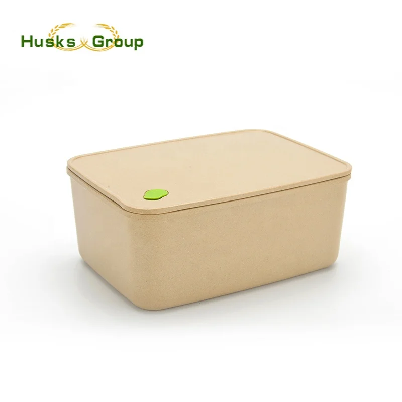 Wishome popular storage plastic food storage container with lid