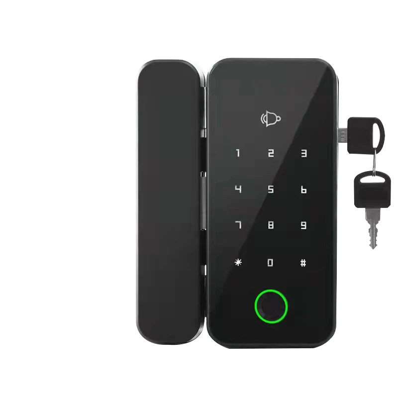 Tuya App Electronic Fingerprint Password Smart Door Lock Frameless Sliding Glass Aluminum