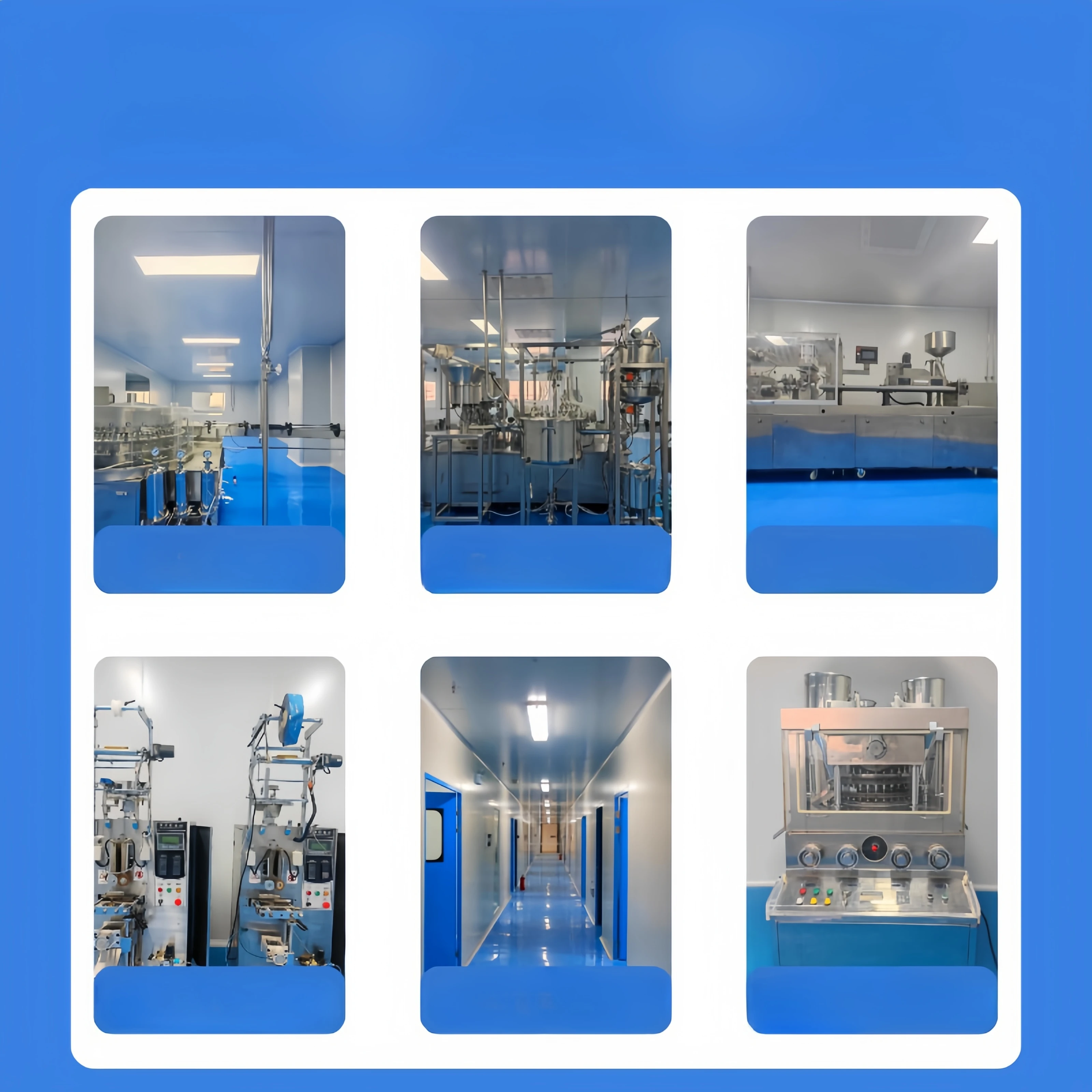 Hot Selling Intelligence Development Capsules Promotes Brain Health Softgel For Improve Memory