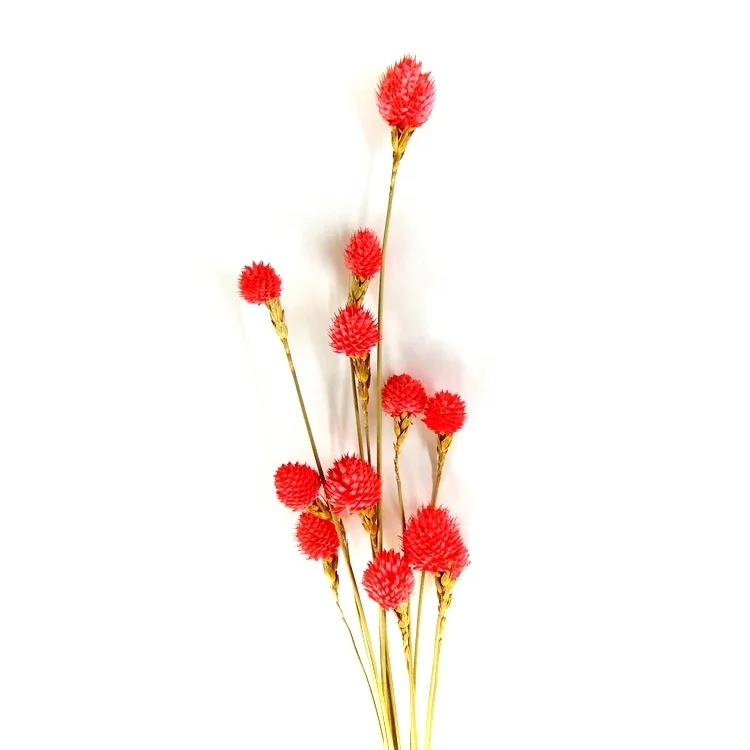 Factory red preserved globe amaranth preserved flowers decor top seller ted bakerlayered bouquet