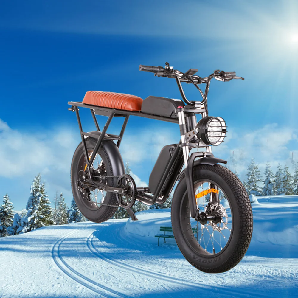 48V 750W Electronic Electric City Bike/Motorcycle 21Ah Tube Fast 25 kmh Speed Sensor Throttle Velocipede Pedal Instant Delivery