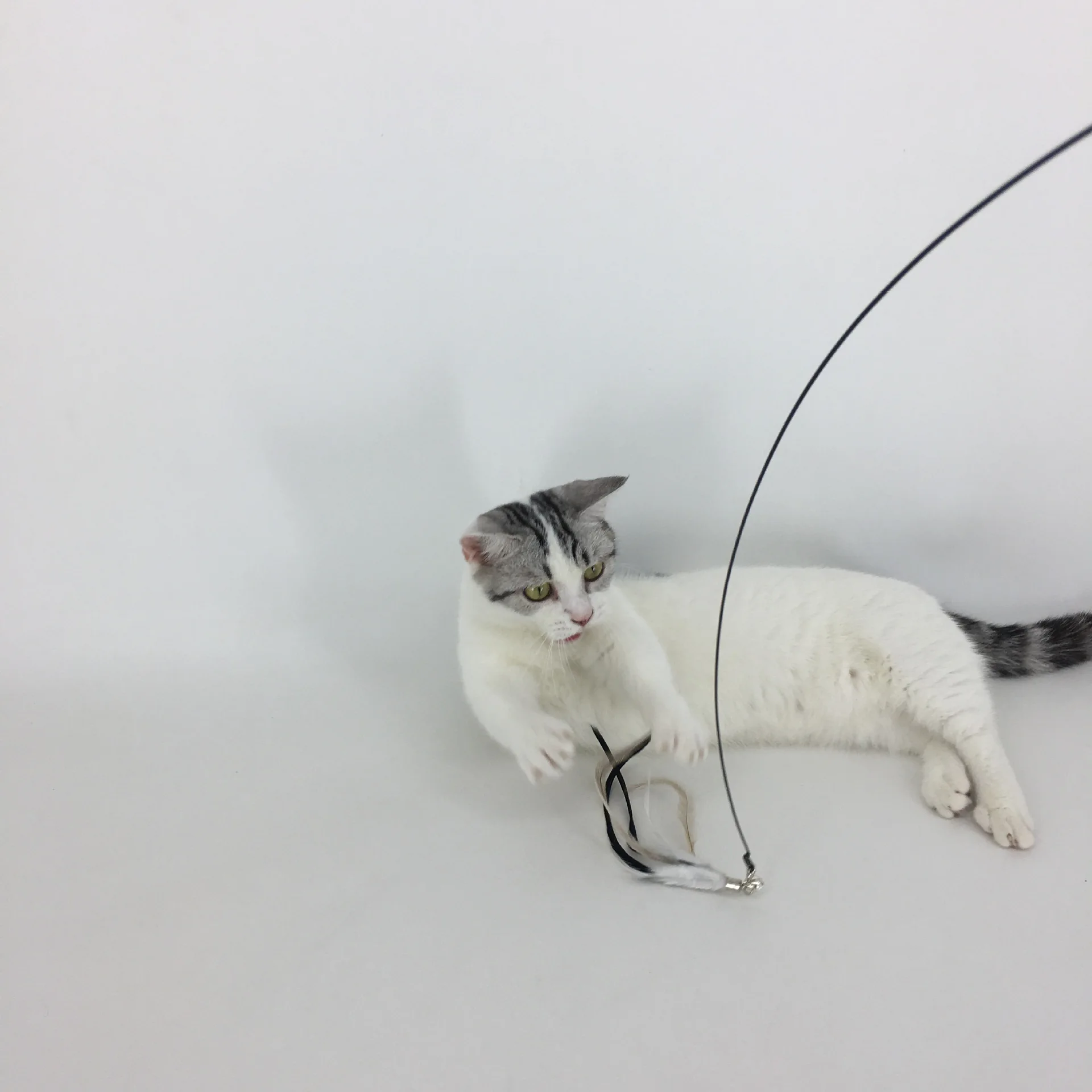 Interactive Pet Supplies Indoor Toys Suction Cup Feather Funny Cat Teaser Wand Stick