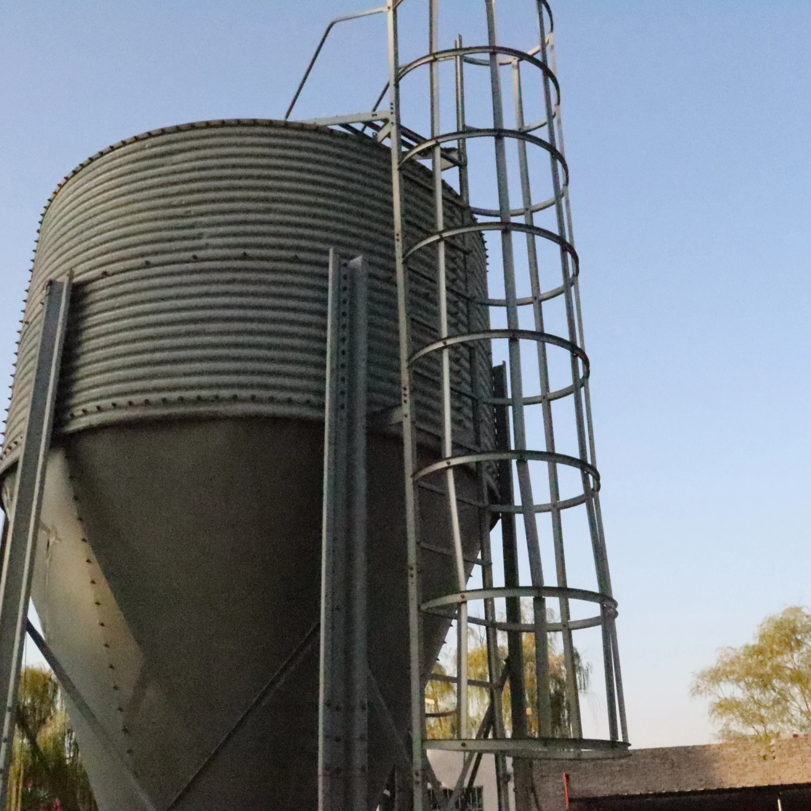 Pig Farm Galvanized Material Tower Complete Set of Equipment for Pig Farming