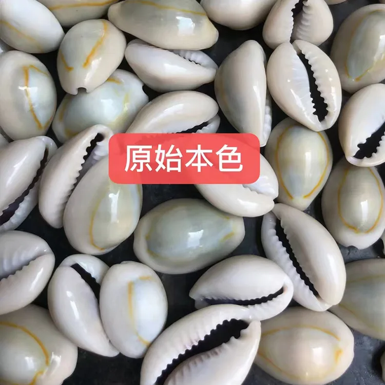 1.3-2.5mm Wholesale Hole Non-hole Natural Loose Conch Shell Beads for Jewelry Making Decoration