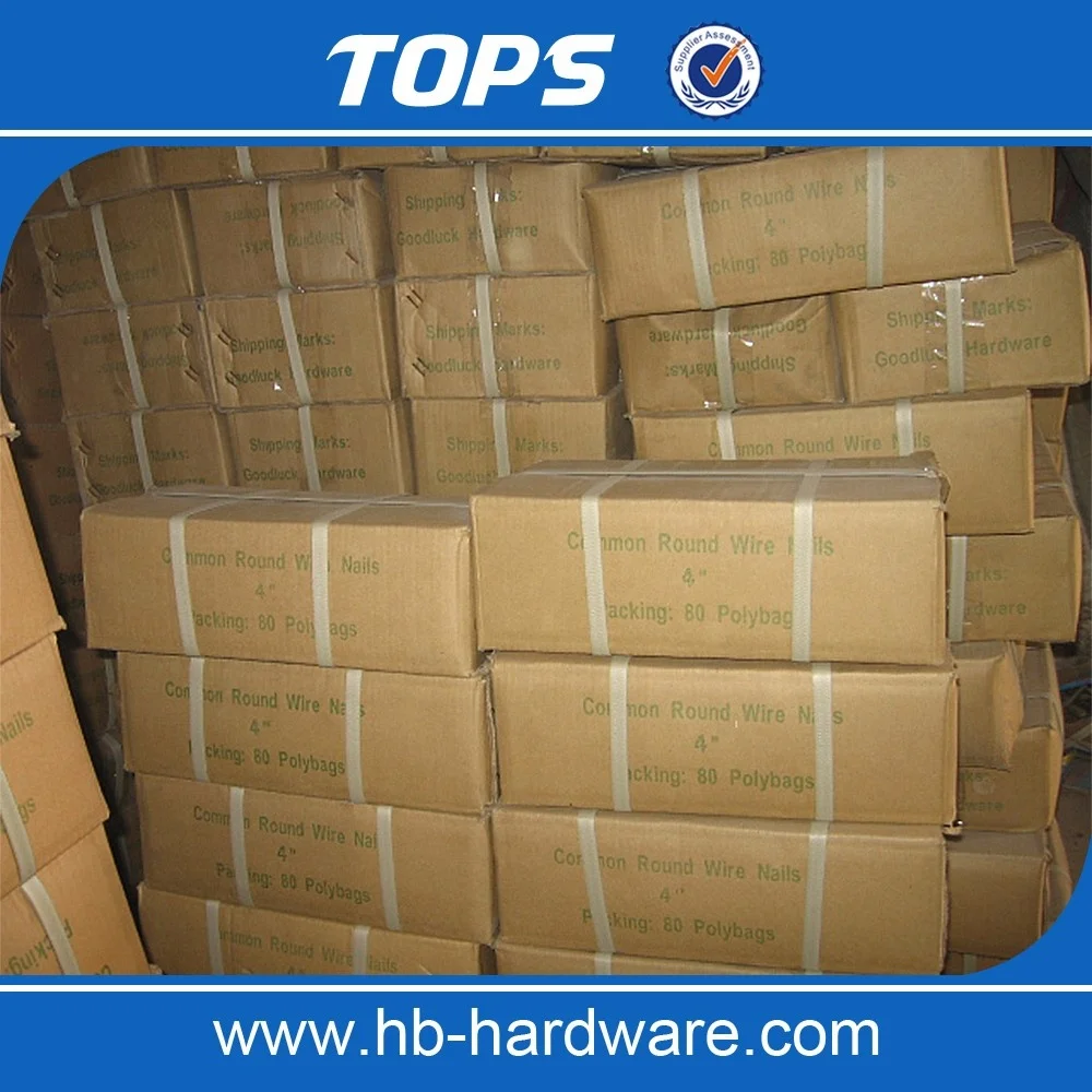 Best Quality Low Price Common Nail for Construction