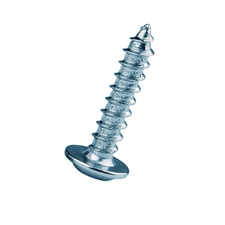 OEM ODM ss304из нержавеющей стали или оцинкованной формы Torx головка образующая Самонарезающий винт для пластика