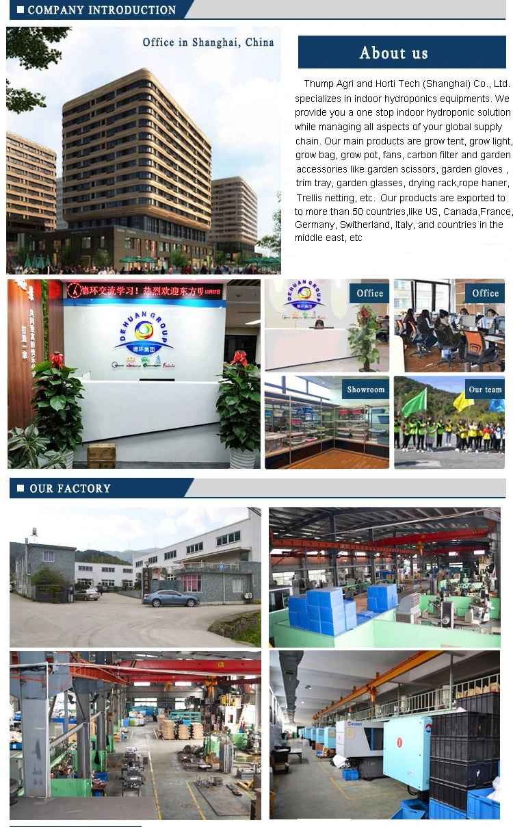 company information.jpg