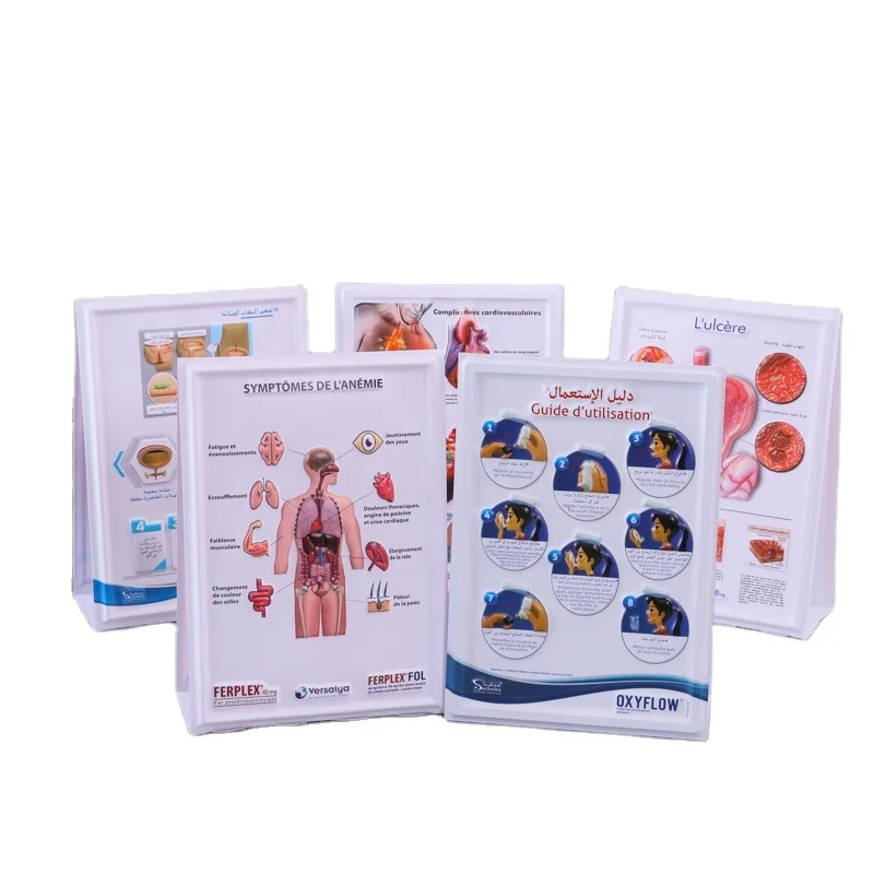 customized 3D Medical Human Anatomy Wall Chart / Poster - desk poster