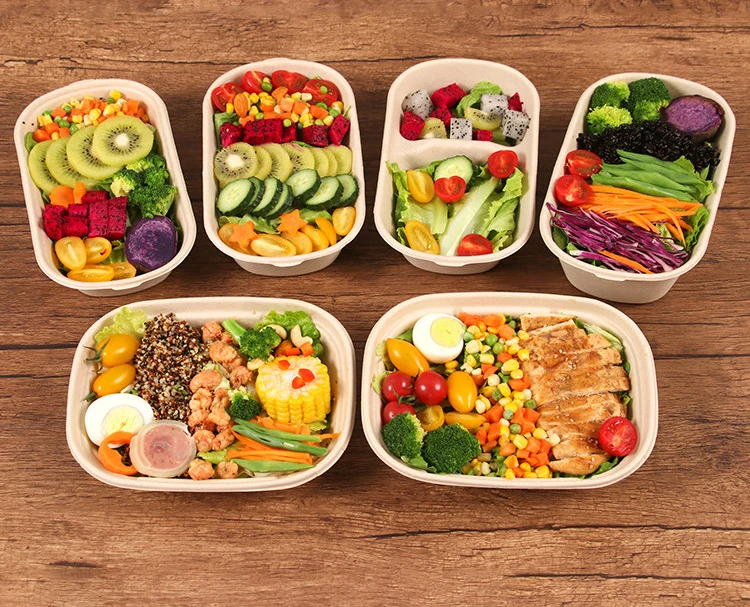 High Quality Wholesale Biodegradable Sugarcane Disposable Plates Lunch Trays Multi Compartments Bagasse Plate