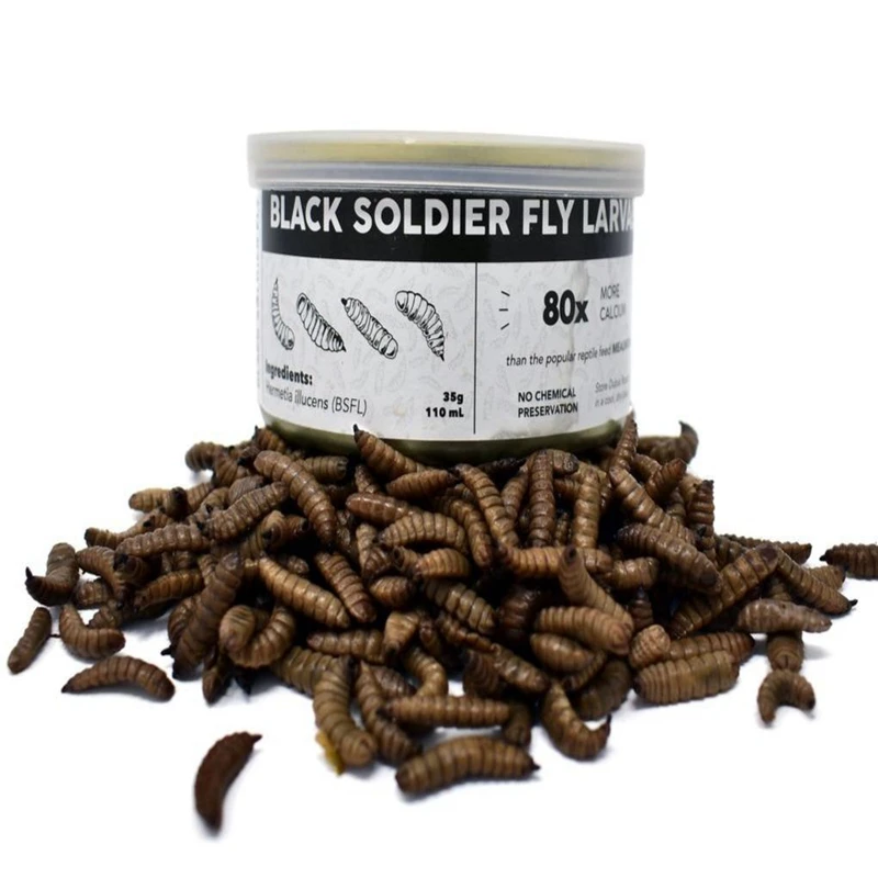 Factory Direct Sales Products Fish Bird Snack Food Larvae Dried Black Soldier Fly
