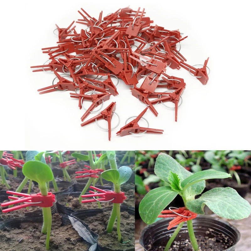 
50pcs Grafting Watermelon Garden Vegetable Flower Vine Stalks Fix Grow Upright Plant Support Garden Clips Set 