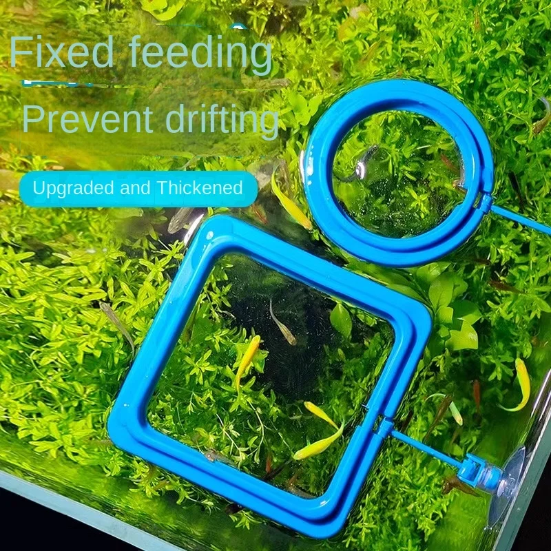 Factory Sale Small Tropical Fish Feeding Ring Aquarium Fish Feeding EQ-102 High Quality Glass PVC PC Cylinder Box Packaging