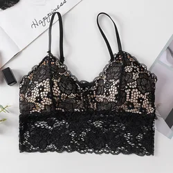 lace thin triangular cup two-color transparent chest wrapped in summer beautiful back seamless steel ring tube top