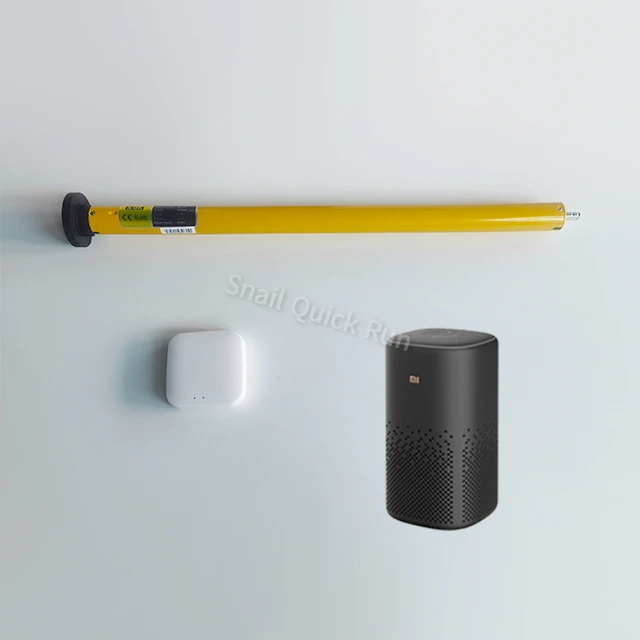 Zero worry RF control Voice control blue tooth tubular curtain motor for roller blinds