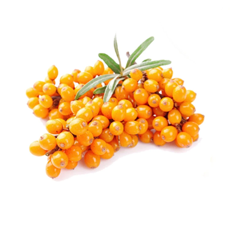 100% Organic Sea buckthorn Fruit Natural Seabuckthorn Seed Sea Buckthorn Fruit Pure Pulp Berry For Extract Juice Powder