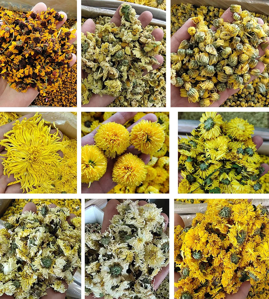 Бесплатный образец Премиум бутон хризантемы цветочный чай различных сортов и OEM упаковка