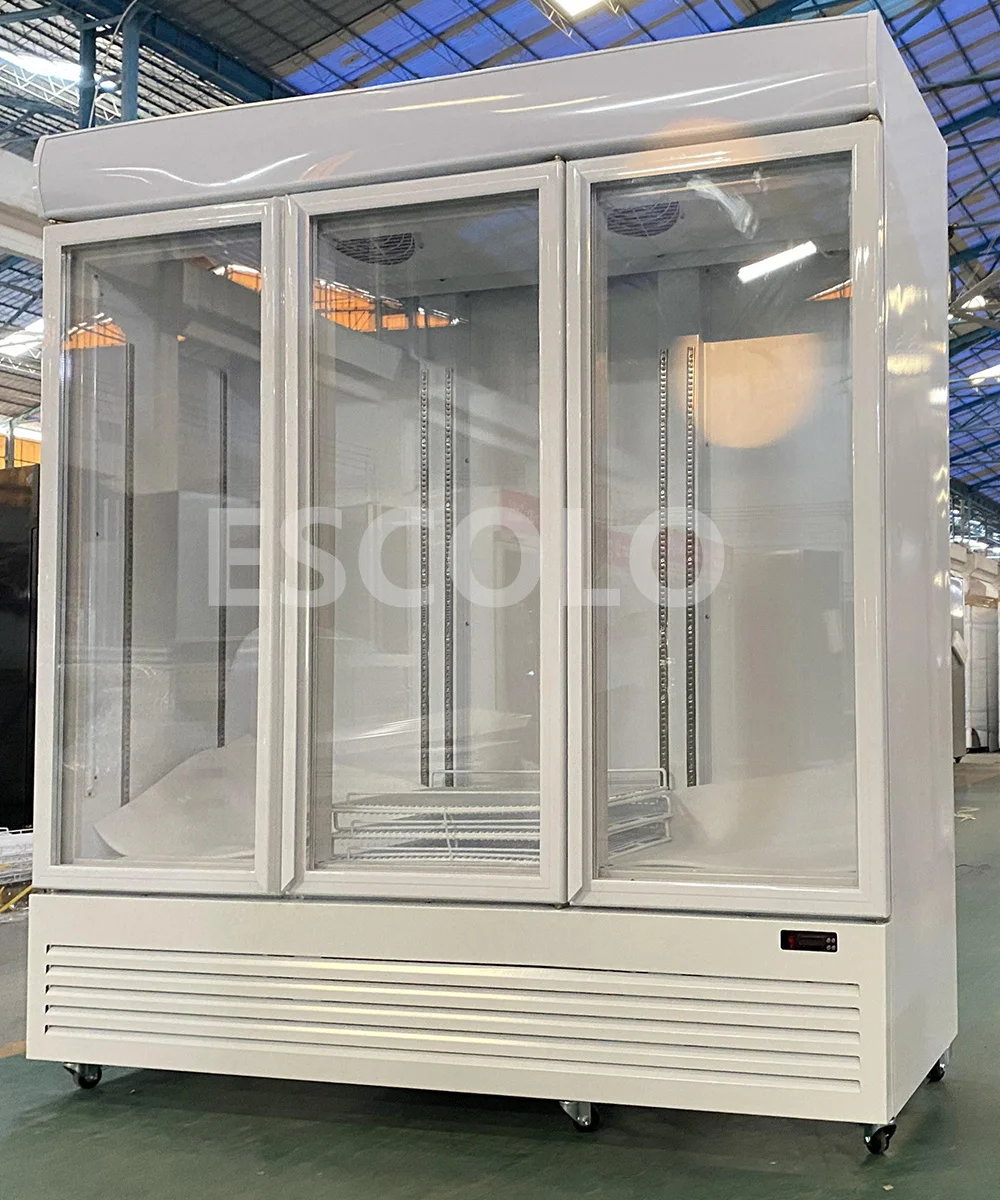 Ice And Seafood Display Freezer Refrigerator Deep Freezer