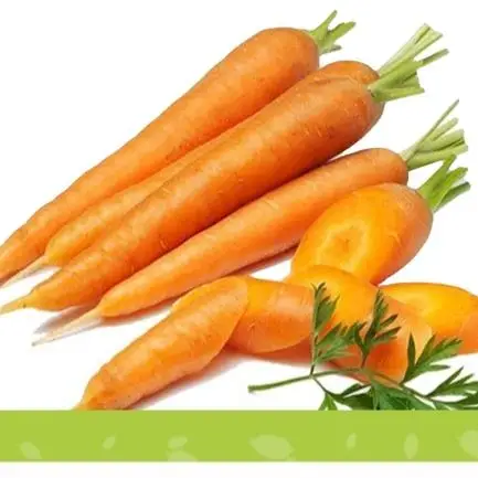 Chinese Supplier Fresh New Season Vegetables Wholesale New Crop Fresh Carrot From in China