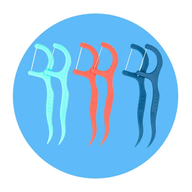 50pcs Orthodontic Gum Care Each Bulk Tooth Cleaning Dental Floss Picks