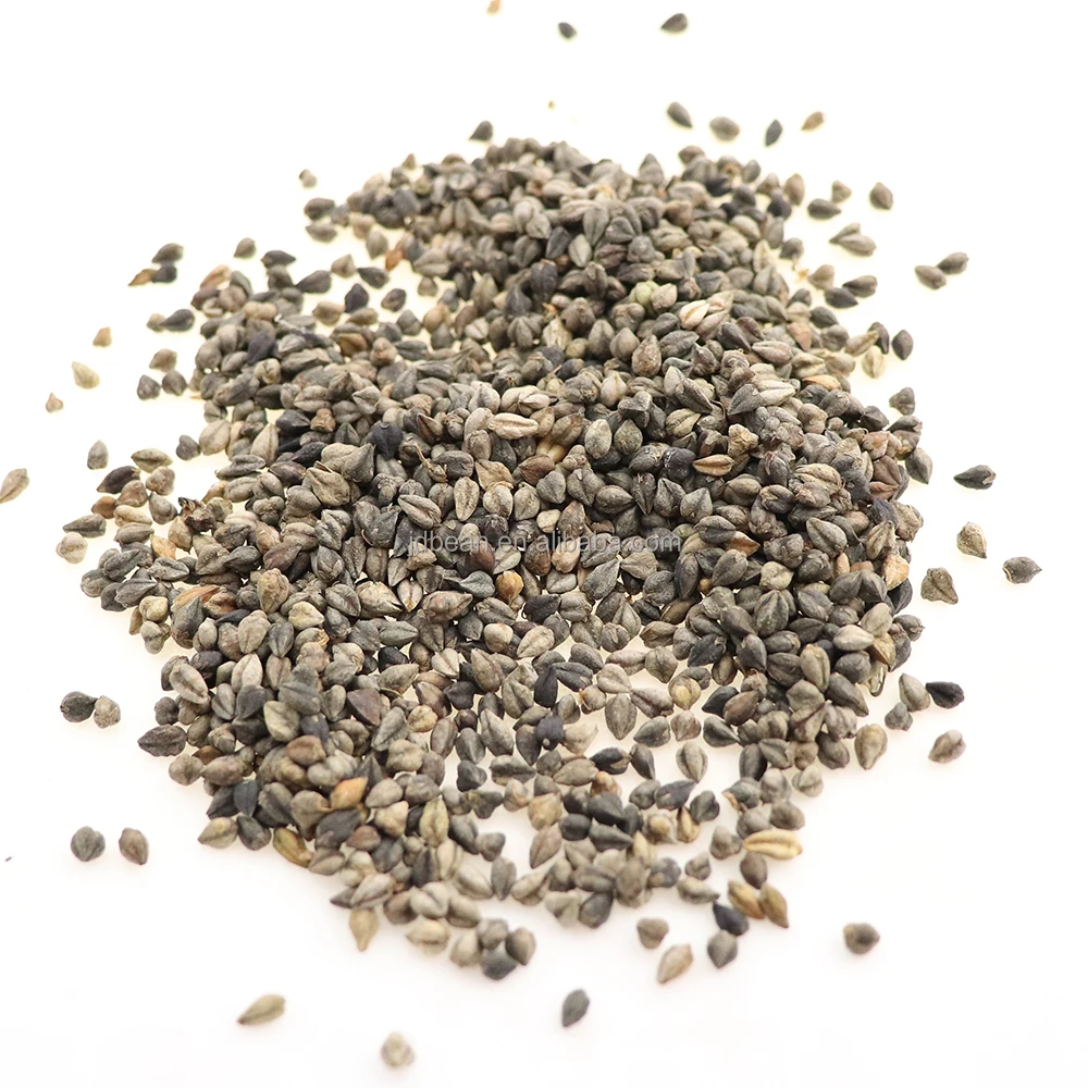 Healthy Food China Traditional Round Buckwheat Tea Tartary Buckwheat