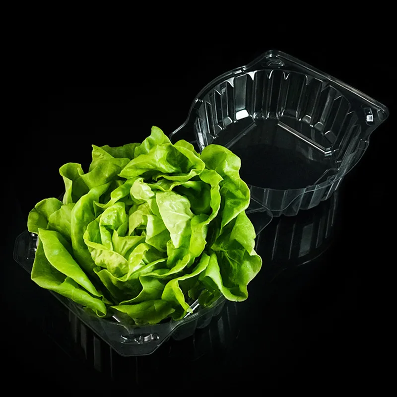 Factory Direct Spot High Transparent Vegetable And Fruit Lettuce Box Thickened Buckle Blister Box