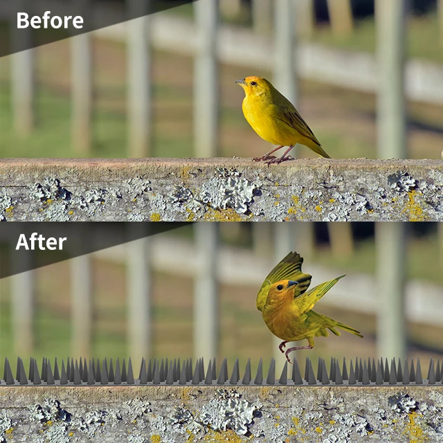 Defender Spikes Plastic Bird Spikes for Pigeons and Other Small Birds Squirrel Deterrent