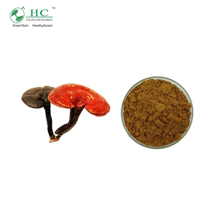 Good Quality Reishi Mushroom Extract Powder 10-30% Polysaccharides