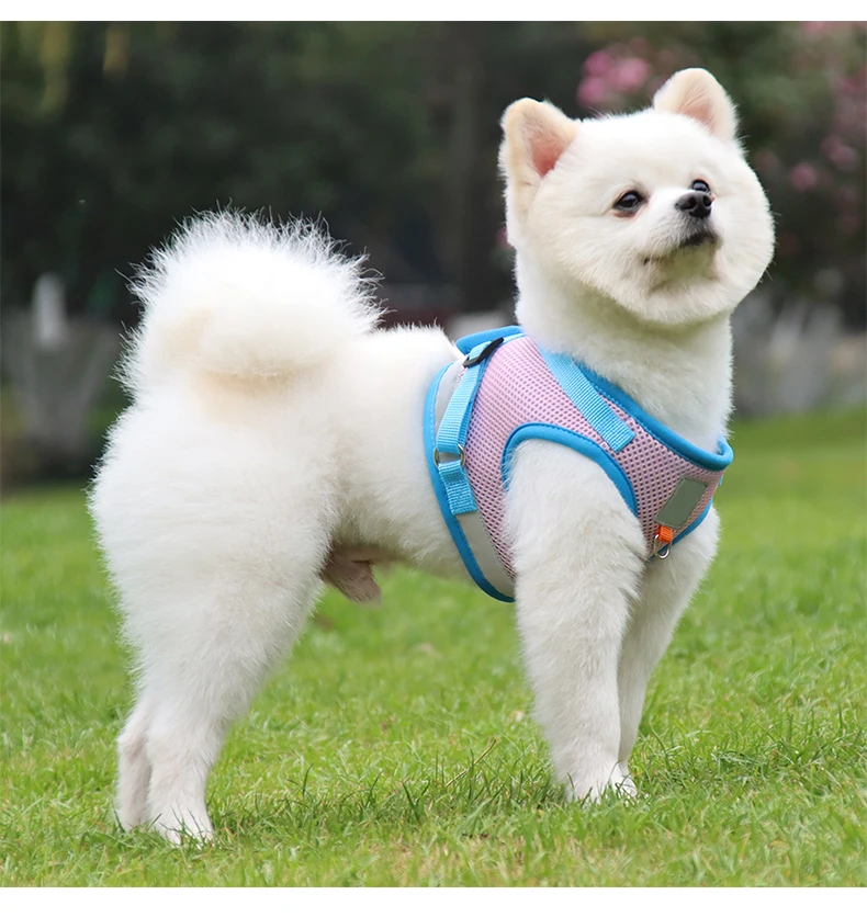 Wholesale Pet Harness Leash and Collar Nylon Sandwich Mesh Reflective Tough Adjustable For Pet Dog Outdoor