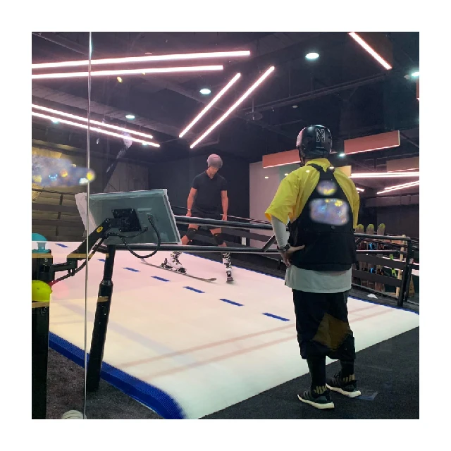 Indoor ski simulators ski machine Gyme Machine