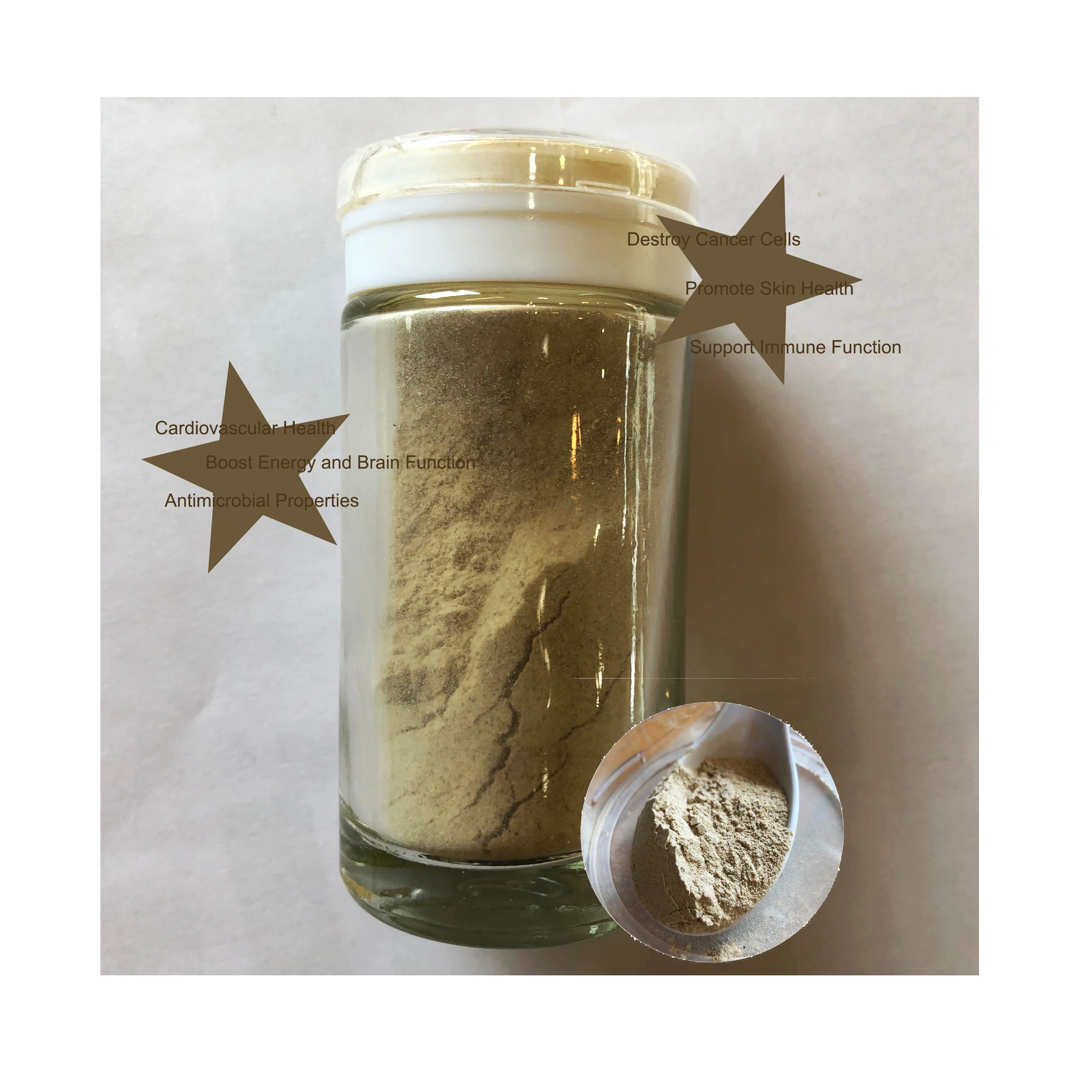 
Longevity secret Japanese dry mushroom extract powder for immune function 