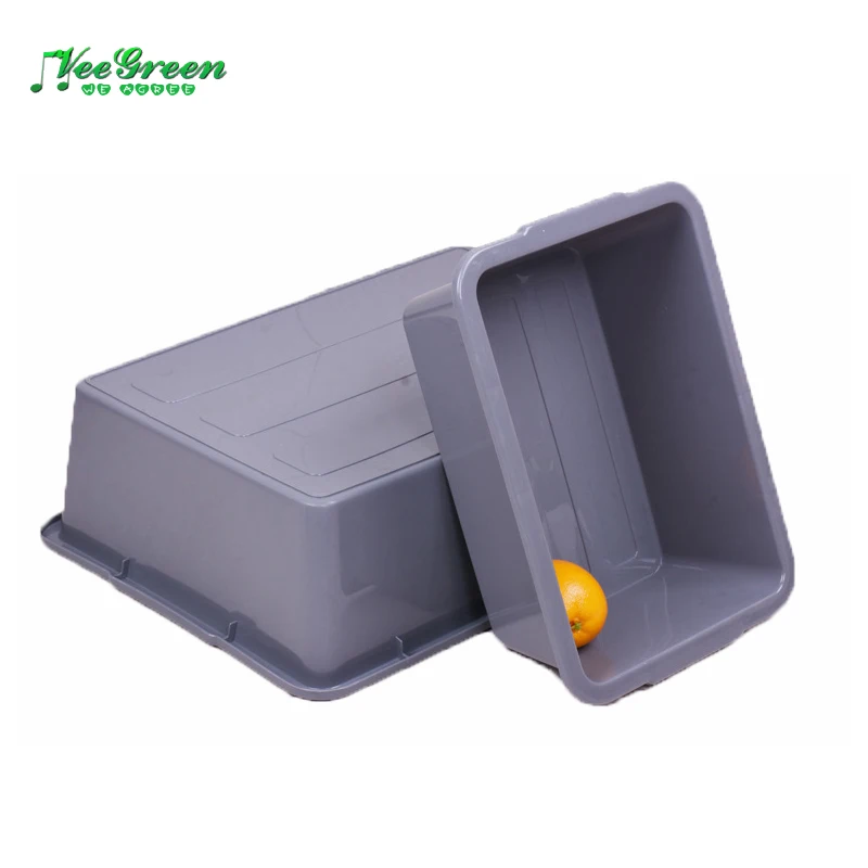 Large Plastic Trays  for Daily Use
