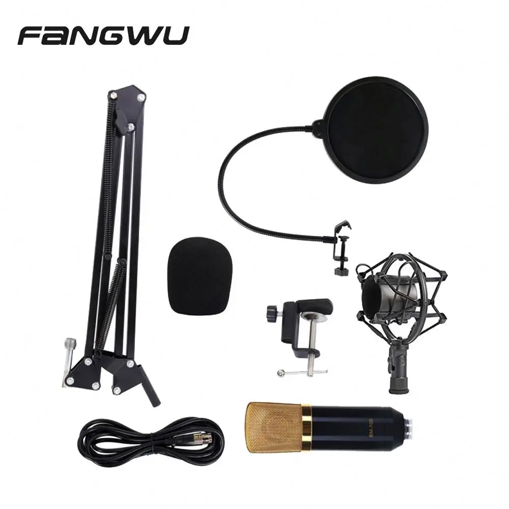 High Quality Sound Card Music Recording Studio Equipment Mic Recorded