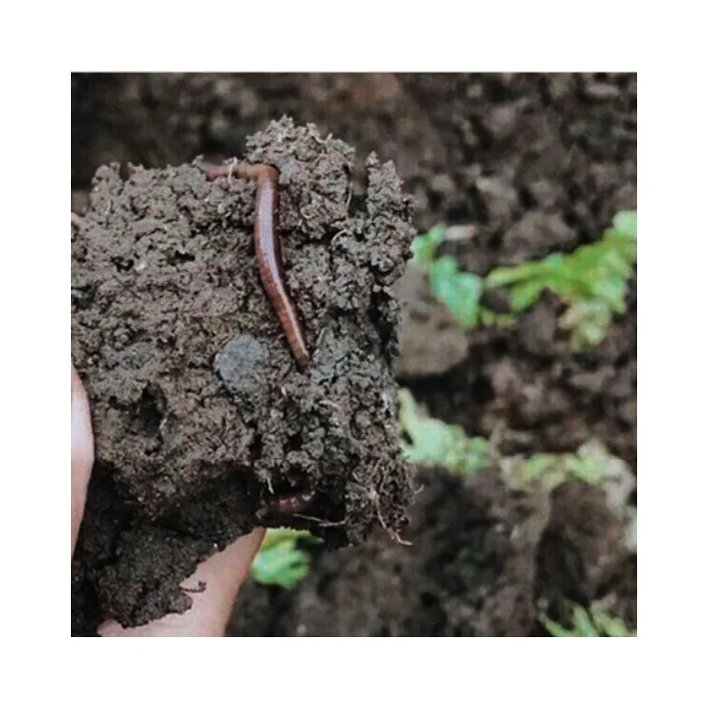 Good quality Vermicompost Bio-Organic Fertilizer use for Soil Conditioner