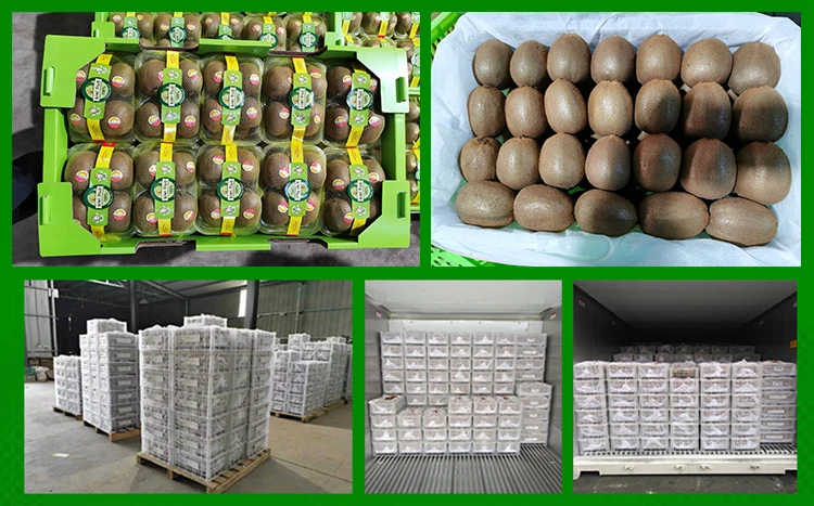  Высококачественные свежие китайские киви зеленые сердца обогащенные витамины С фрукты цена