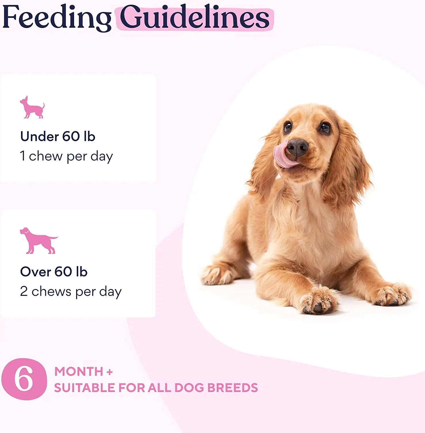 Multivitamin Chews for Dogs Immunity Joints Skin Coat Energy With Vitamins Oils Minerals 15 in 1 Dog Health Premium