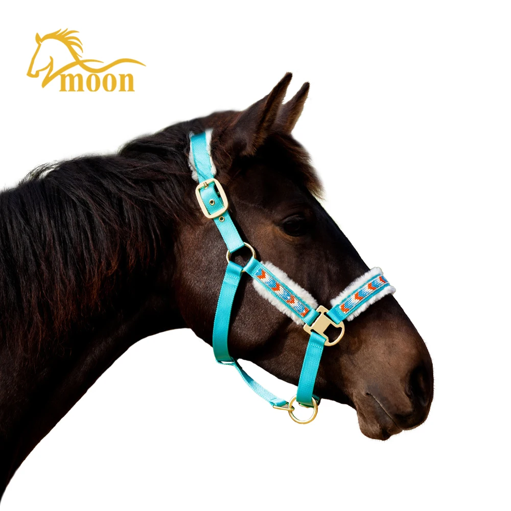 Wholesale Equestrian Products Hors Halters Set Customized LOGO Style Nylon Combo Accept Material Origin Place Model Offered