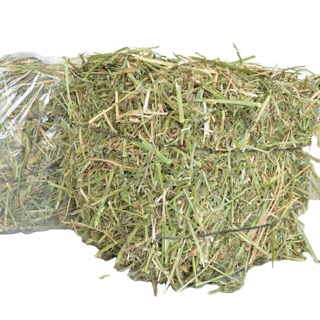 Turkish High Quality Alfalfa Hay Oats Hay Animal Feed for Sale Animal Feed Turkish Alfalfa