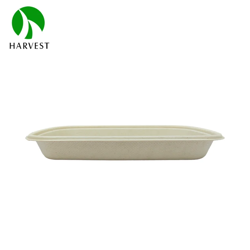 500ml  Disposable food packing microwavable sugarcane bamboo plates