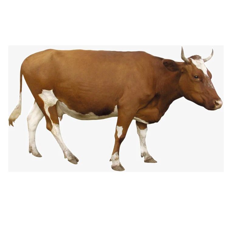 Cheap Factory Price polyresin life size plush adult cow statue