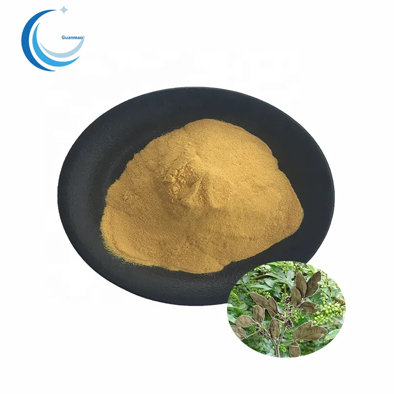 Supply buchu leaves extract powder High Quality Barosma Betulina extract