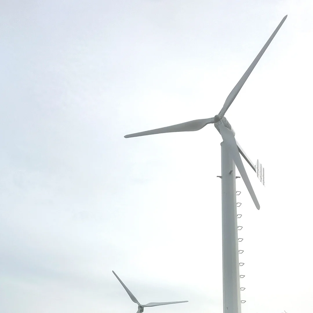 Wholesale High Quality Strong Wind Generator Axis Wind Turbine Wind Power Turbine Generator
