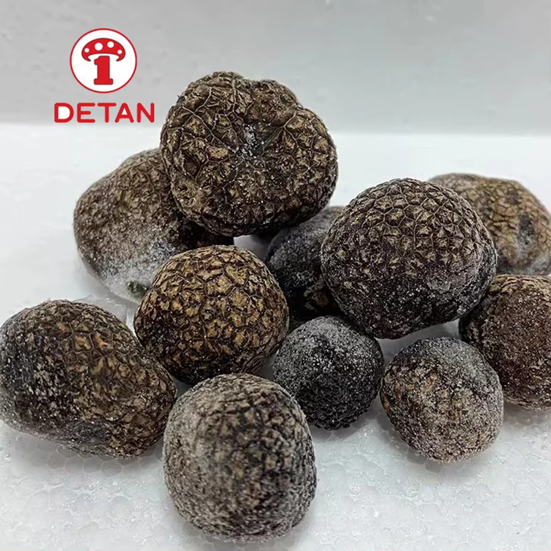 Detan High quality frozen black truffle with low price Frozen melanosporum