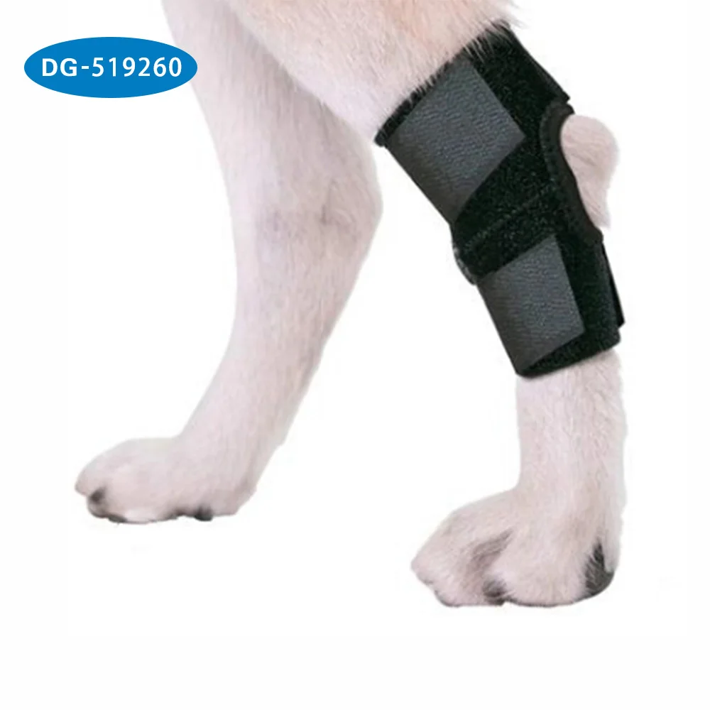 Pet Leg Knee Protection Recovery