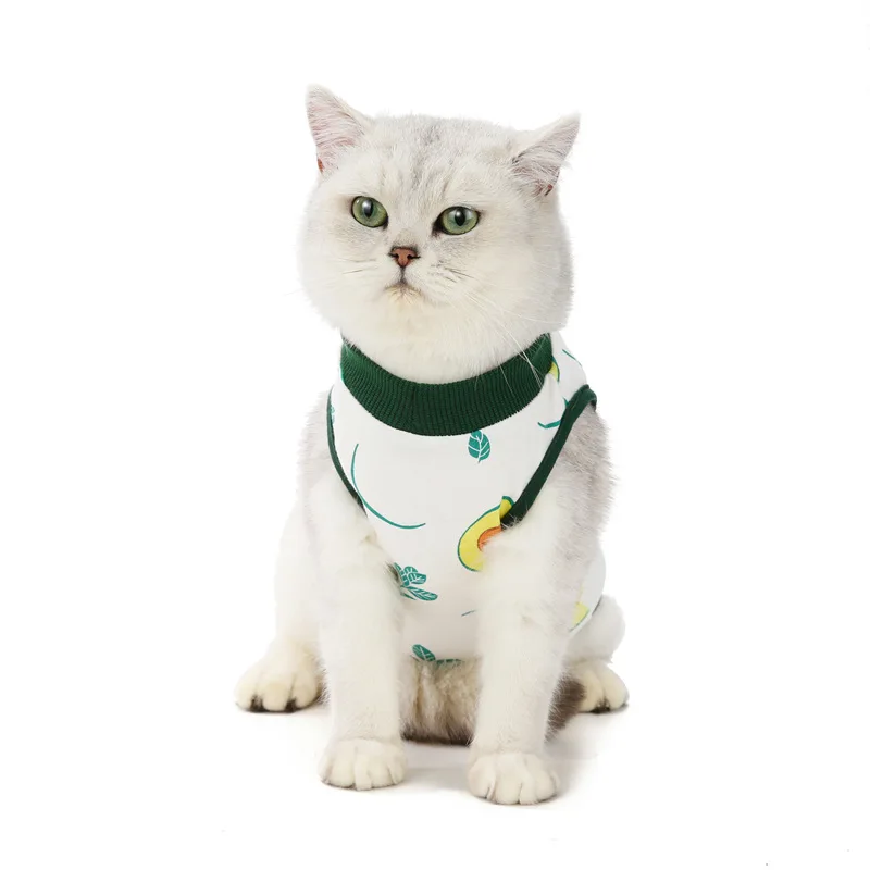 cat recovery suit (19).jpg