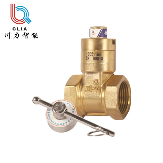 Guard against theft Front end of water meter encryption smart valve Brass gate valve gate valves