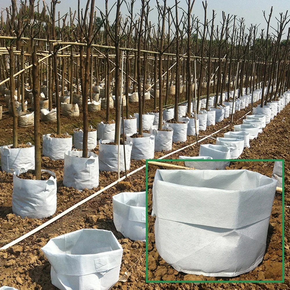 Производитель нетканых тканевых сумок для выращивания Горшков