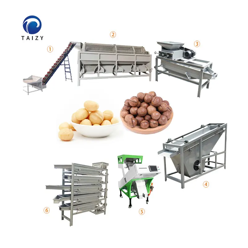 Butter Paste Plant Production Line Sesame Almond Hazelnut Pistachio Macadamia Nut Walnut Peanut Processing Machine