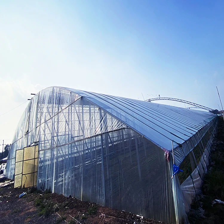 po greenhouse film uv treated polythene film greenhouse blue etfe film greenhouse