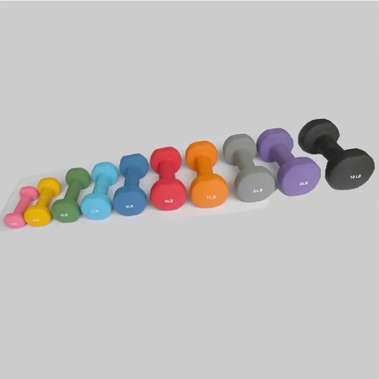 Basics easy grip workout dumbbell neoprene coated d ring neoprene dumbbell neoprene dumbbell set